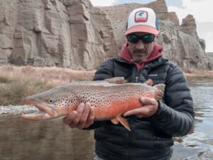 Trophy Green River Brown Trout Ready To Be Released Safely Back Into His Native Home By Green River Fishing Guide At Dutch John Resort 