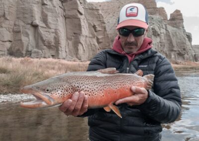 Trophy Green River Brown Trout Ready To Be Released Safely Back Into His Native Home By Green River Fishing Guide At Dutch John Resort