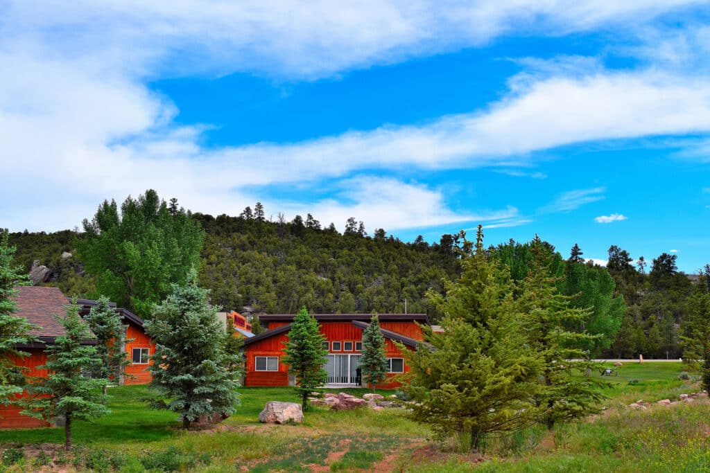Cabin Parent Draft