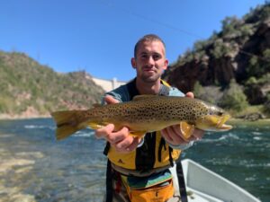 Giant Wild Green River Brown Trout Displaying Full Buck Colors