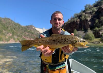 Giant Wild Green River Brown Trout Displaying Full Buck Colors