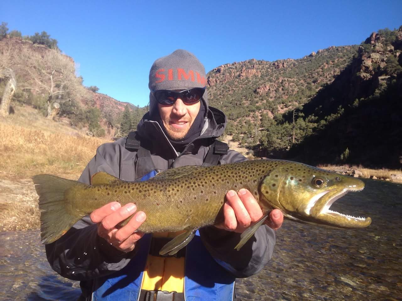 Luxury family or Individual Cabin As Viewed From The Landscaped Back Yard At Dutch John Resort At Flaming Gorge
