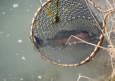 Green river trout fishing in a drift boat Dutch john resort fly fishing guides