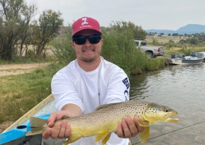 Huge Brown Trout is safely released back into the green river by Dutch John resort.