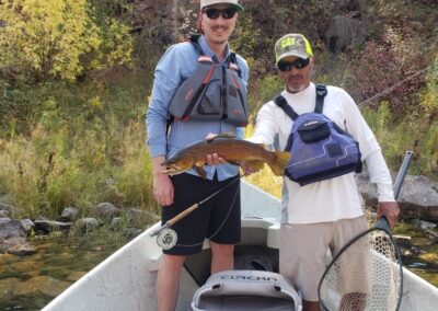 Huge Brown Trout is safely released back into the green river by Dutch John resort.