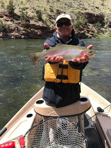 Green River Fly Fishing Guide Releasing Giant Trophy Rainbow Trout Back Into The Crystal-clear Waters Of It's Native Home In The Green River By Dutch John Resort In Dutch John Utah