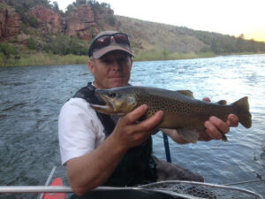 Trophy Wild Brown Trout In Fly Fisherman's Hands about To Be Safely  Released Back Into The Green River By Dutch John Resort 