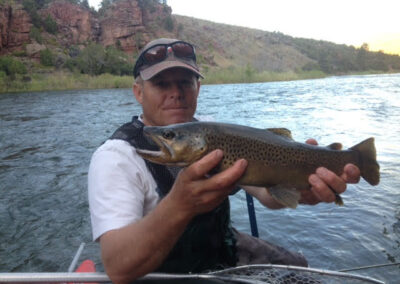 Trophy Wild Brown Trout In Fly Fisherman's Hands about To Be Safely Released Back Into The Green River By Dutch John Resort