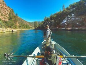 Huge Brown Trout is safely  released from fishing guide drift boat back into the green river by Dutch John resort.