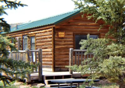 the moose cabin in dutch john resorts