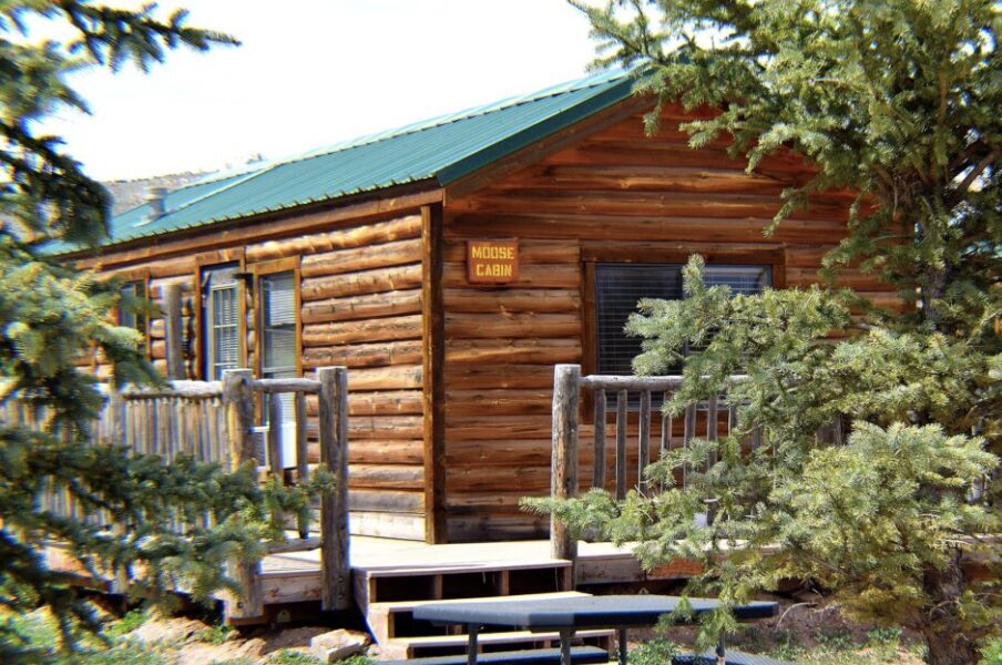 the moose cabin in dutch john resorts