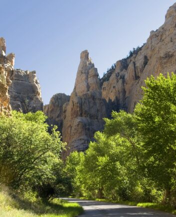 the moose cabin in dutch john resorts