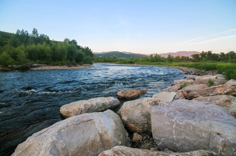 various trailers and cabins in a camping area