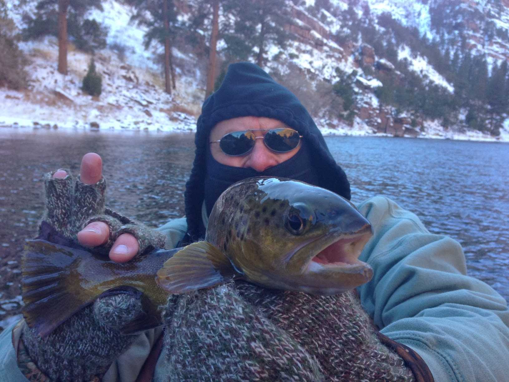 camping grounds with cabins and houses