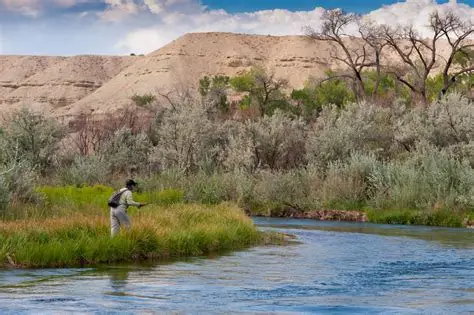 yellow boat for rafting