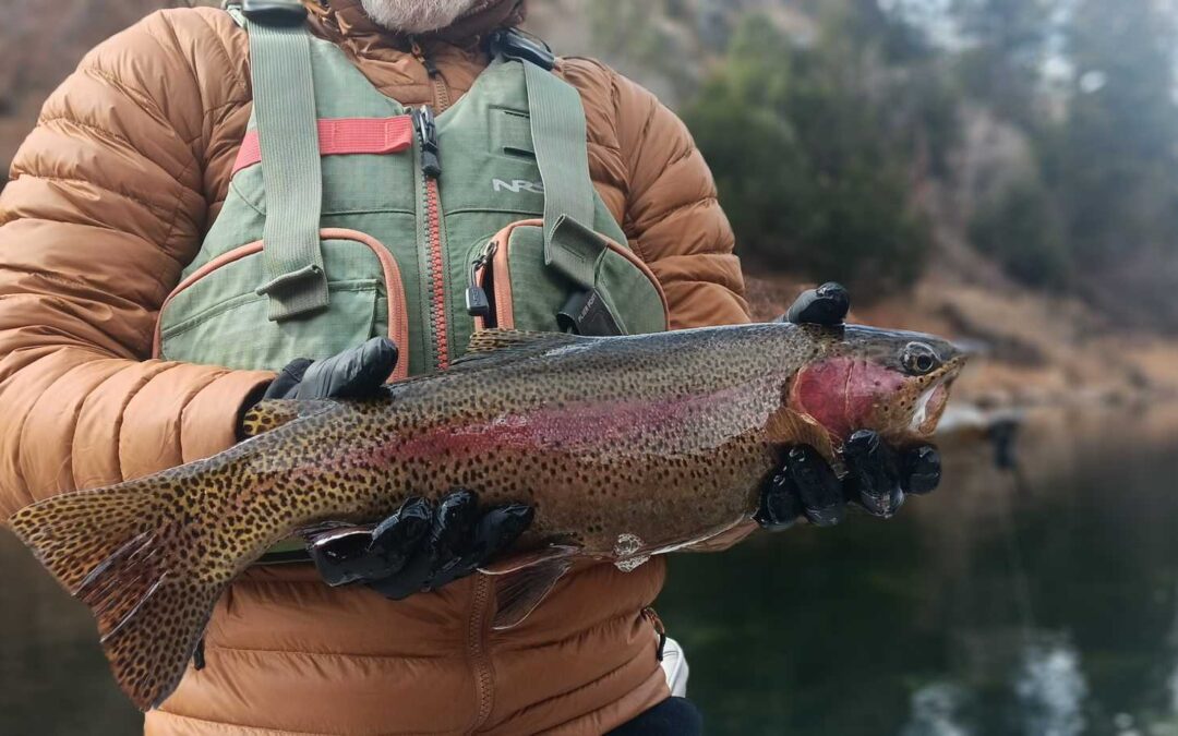 Green River Fly Fishing Report & Flaming Gorge Water Release Flow & Conditions
