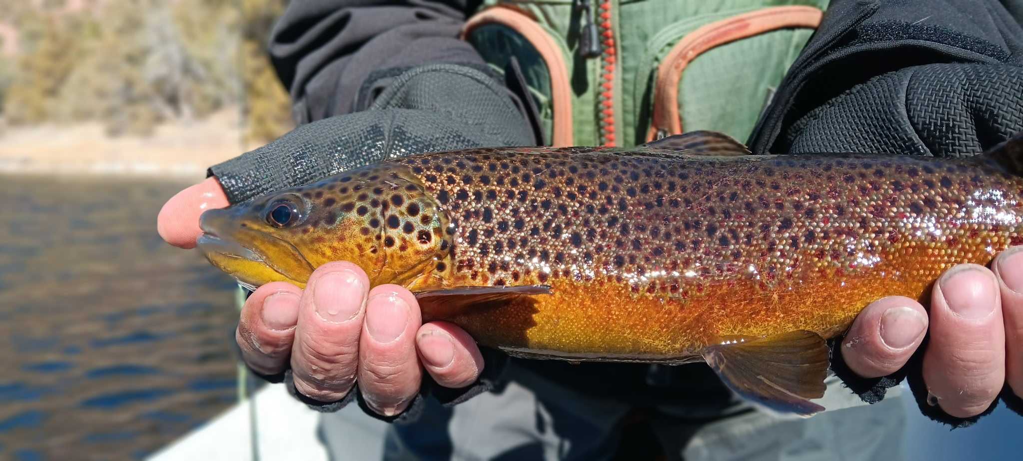 two people fishing in a lake