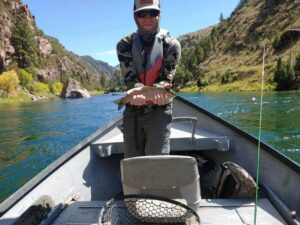 Green River Fishing Report: Flows, Hatches & Guide Strategy Below Flaming Gorge Dam DutchJohn Resort fishing